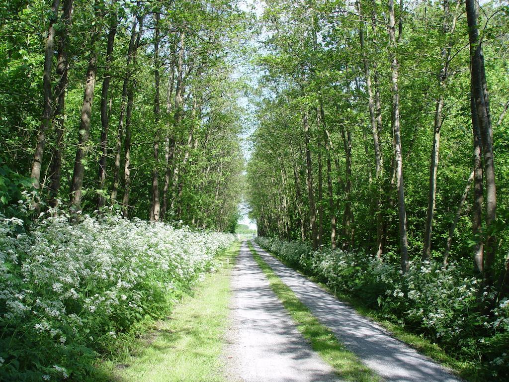 Landgoed Wilgenheerd 3*