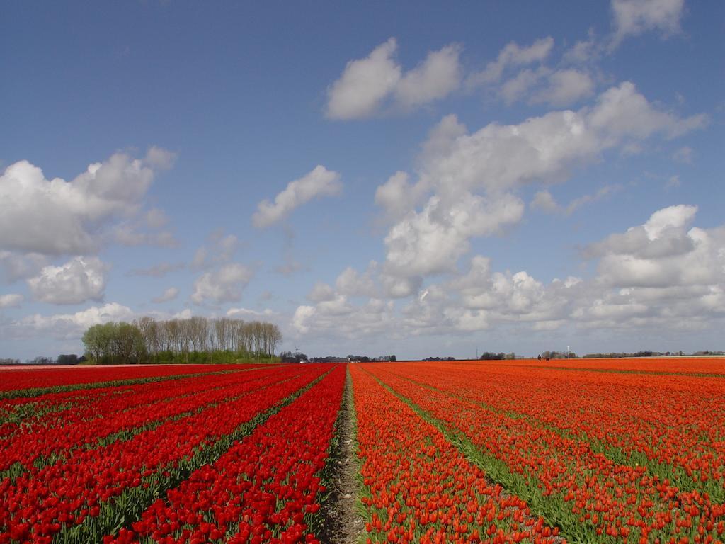 Landgoed Wilgenheerd 3* Wehe-den Hoorn
