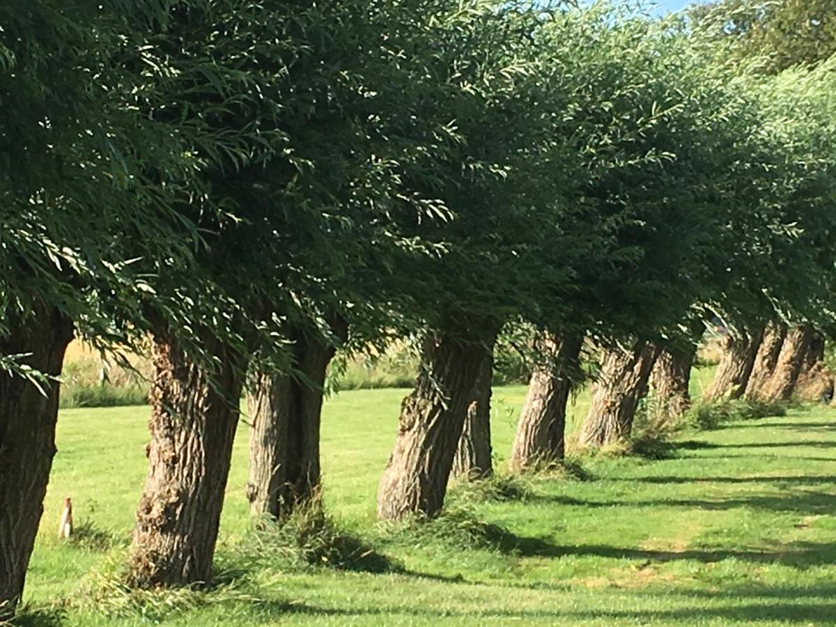 Bed & Breakfast Landgoed Wilgenheerd Wehe-den Hoorn